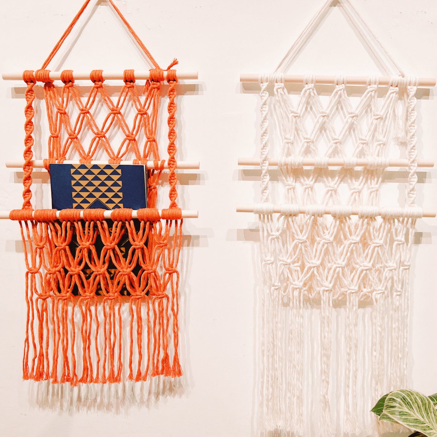 PMQ: Macrame Hammock Workshop (3Hr)